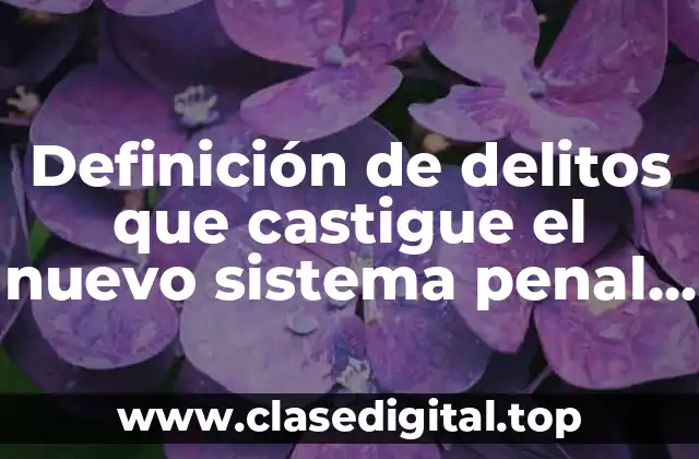 Definición de delitos que castigue el nuevo sistema penal de justicia