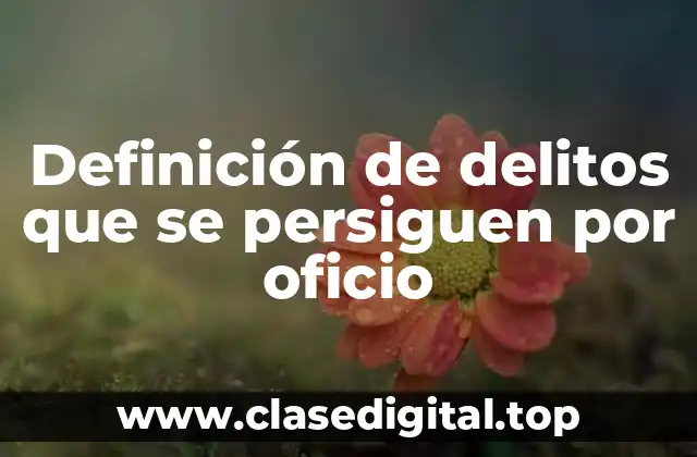 Definición de delitos que se persiguen por oficio