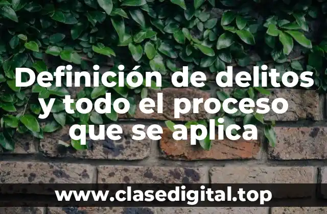 Definición de delitos y todo el proceso que se aplica