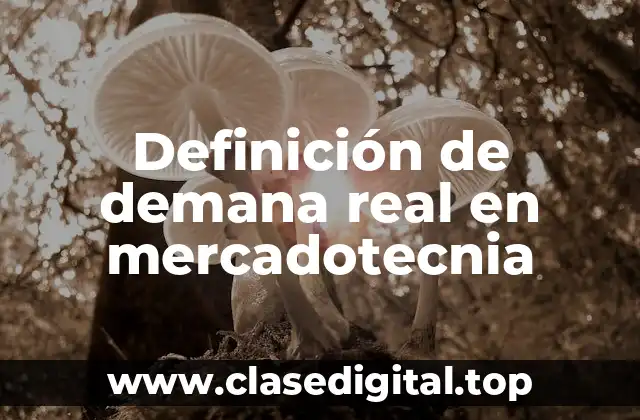 Definición técnica de demanda real