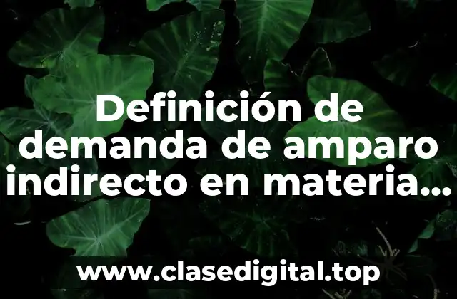 Definición de demanda de amparo indirecto en materia familiar