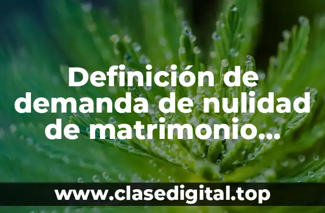 Ejemplos de demanda de nulidad de matrimonio eclesiástico