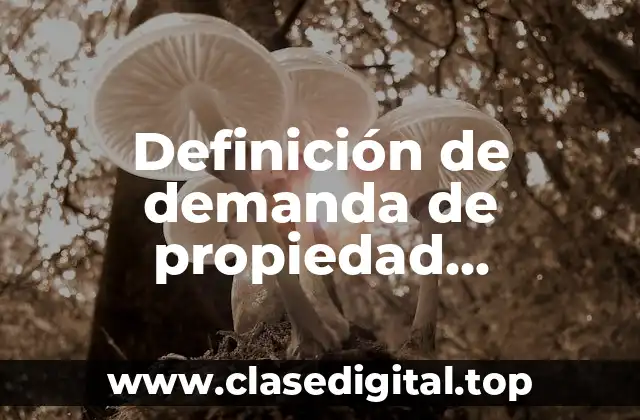 Definición de demanda de propiedad intelectual