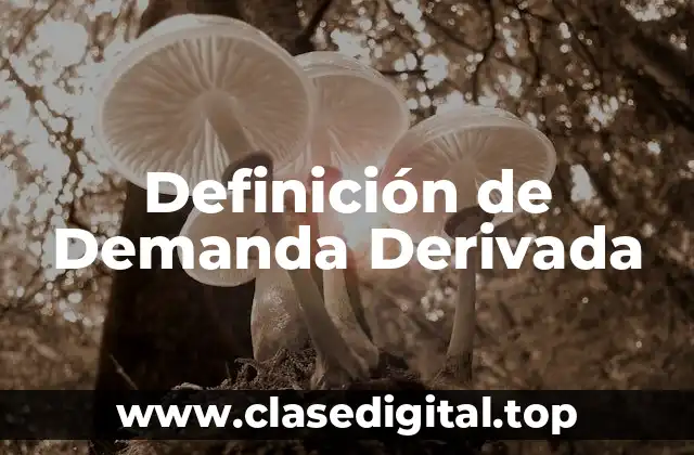 Definición de Demanda Derivada