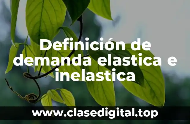 Definición de demanda elastica e inelastica
