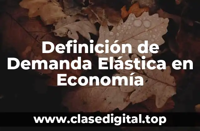 Definición Técnica de Demanda Elástica