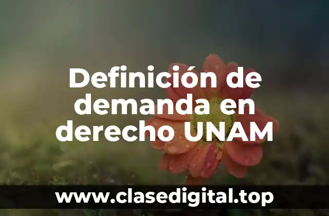 Definición técnica de demanda en derecho