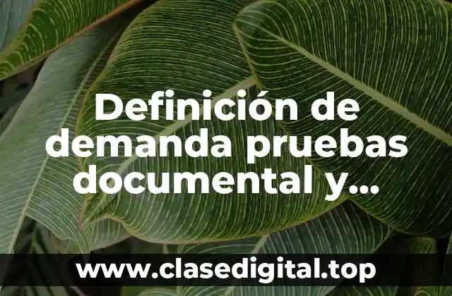 Definición de demanda pruebas documental y confesional proceso mercantil