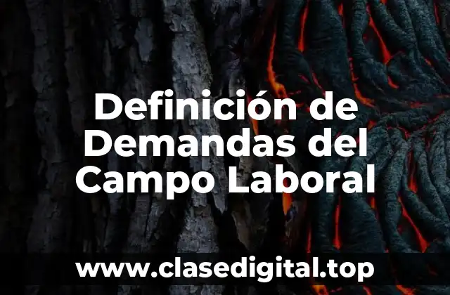 Definición de Demandas del Campo Laboral