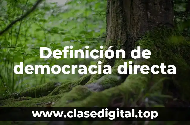 Definición de democracia directa
