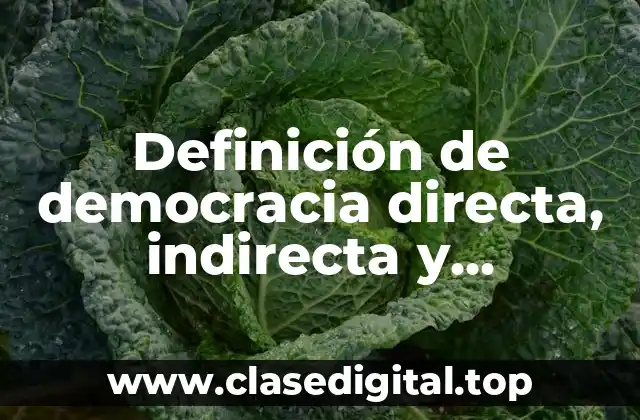 Definición técnica de democracia directa