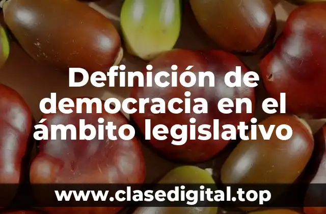 Definición de democracia en el ámbito legislativo