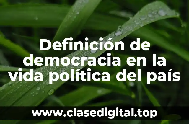 Definición de democracia en la vida política del país