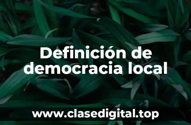 Definición de democracia local