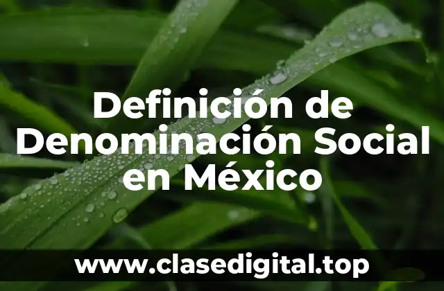 Definición de Denominación Social en México