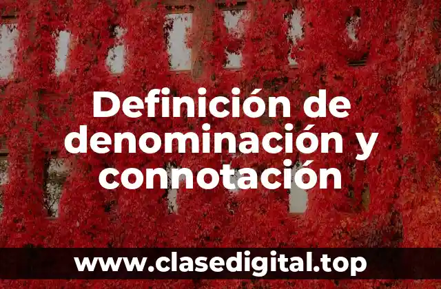 Definición de denominación y connotación