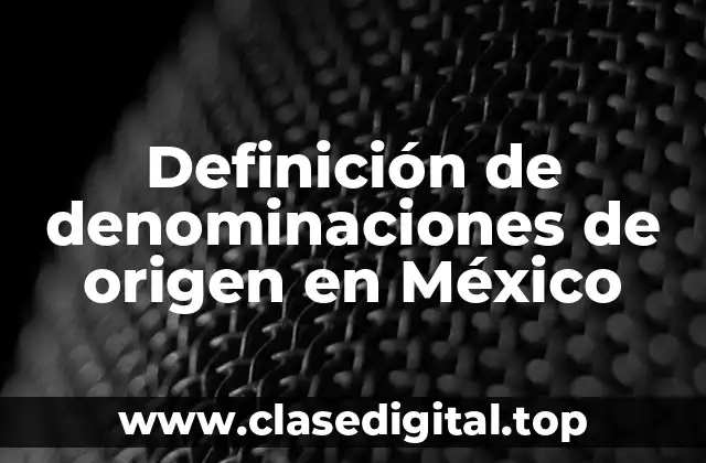 Definición de denominaciones de origen en México