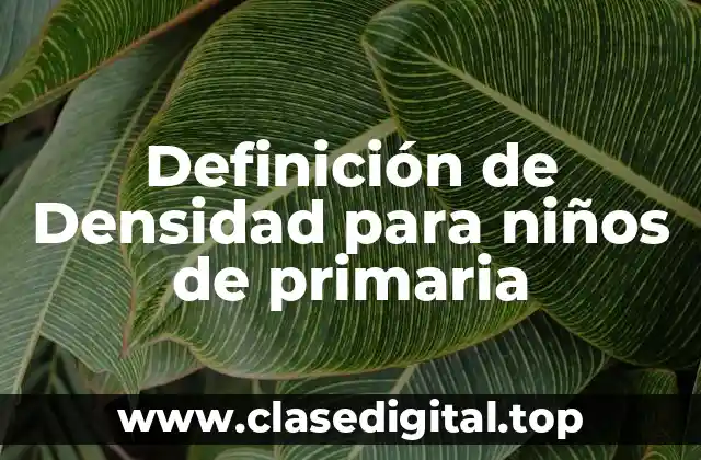 Definición técnica de densidad