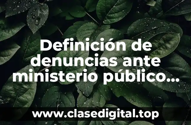 Definición de denuncias ante ministerio público de Naucalpan