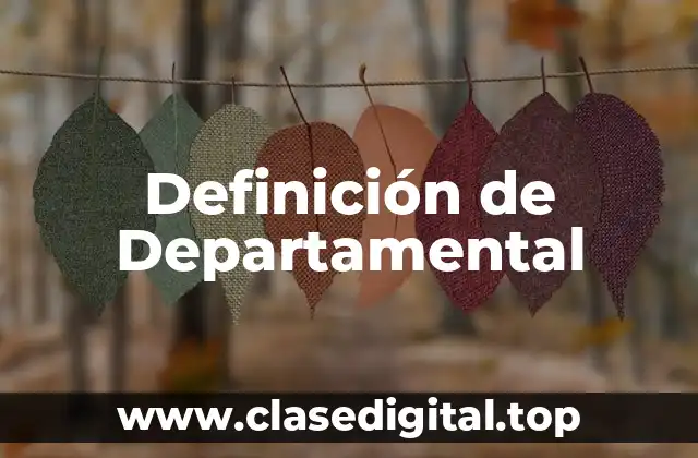 Definición de Departamental
