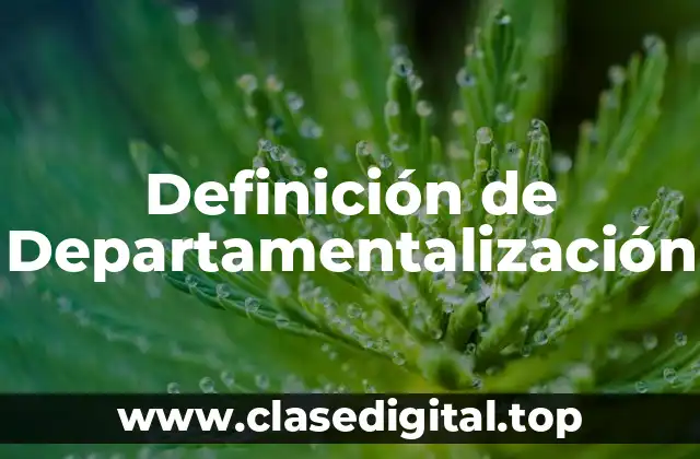 Definición de Departamentalización