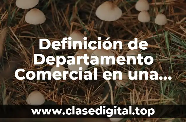 Definición de Departamento Comercial en una empresa