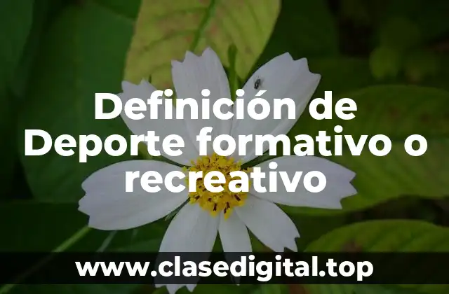 Definición de Deporte formativo o recreativo