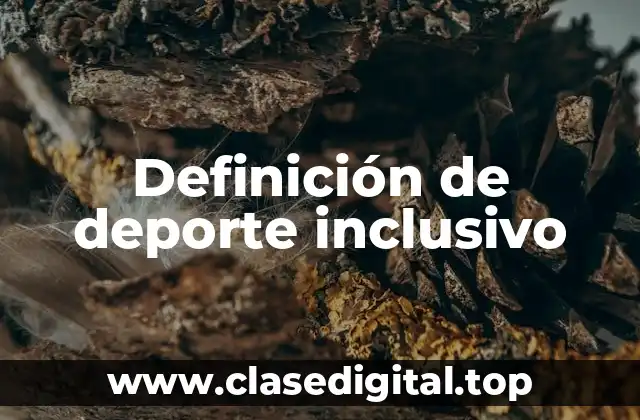 Definición técnica de deporte inclusivo