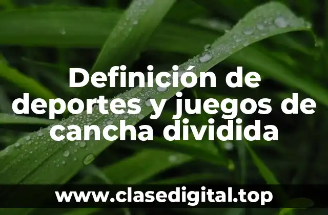 Definición de deportes y juegos de cancha dividida