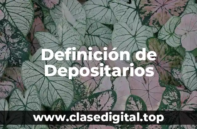 Definición de Depositarios