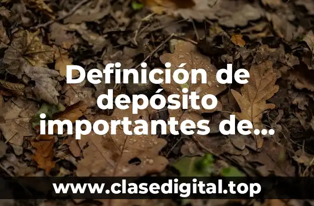 Definición de depósito importantes de recursos naturales en una empresa