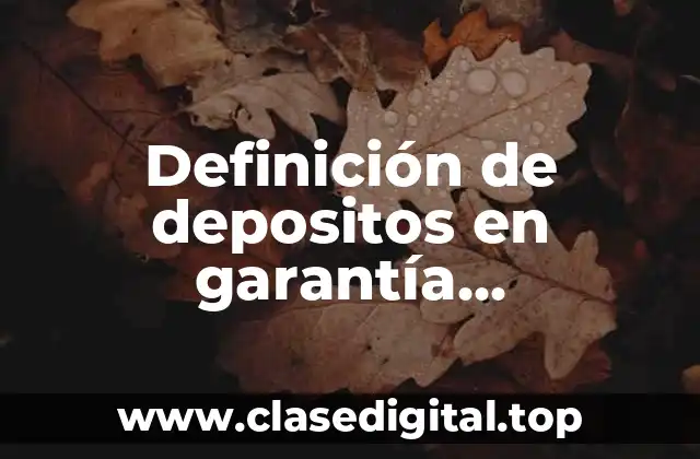 Ejemplos de depositos en garantía contabilidad