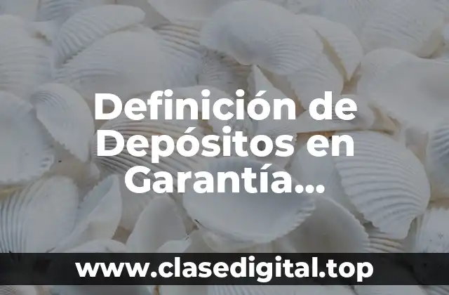Definición Técnica de Depósito en Garantía Contabilidad