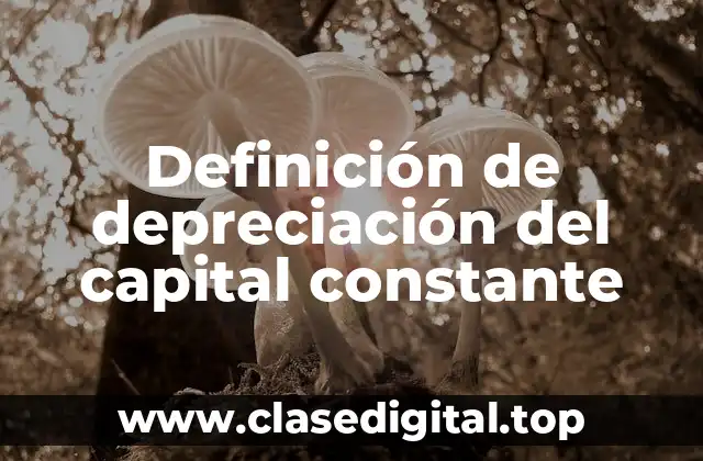 Definición de depreciación del capital constante
