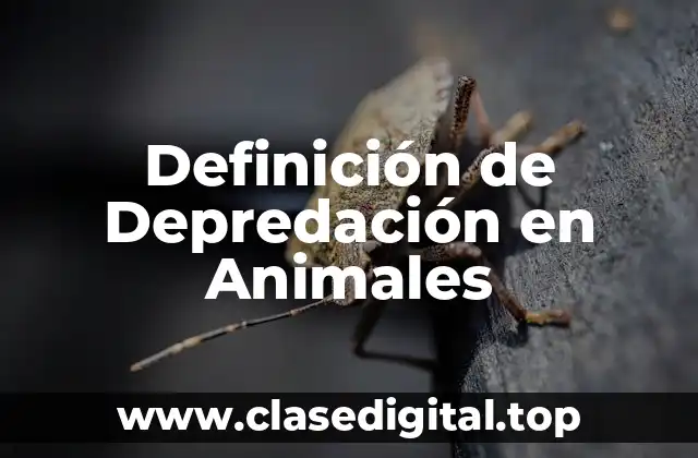 Definición de Depredación en Animales