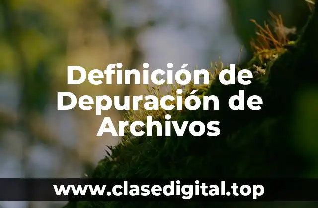 Definición de Depuración de Archivos