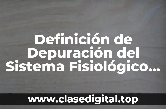 Definición de Depuración del Sistema Fisiológico Renal