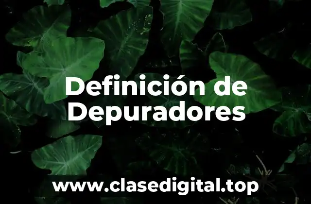 Definición de Depuradores