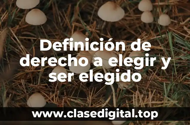 Definición de derecho a elegir y ser elegido