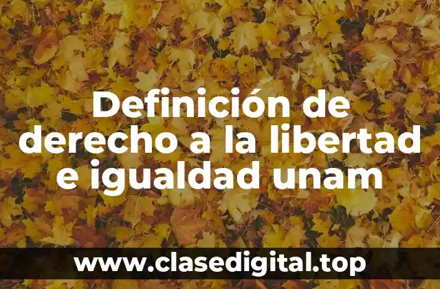 Definición técnica de derecho a la libertad e igualdad