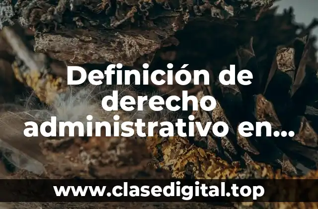 Definición de derecho administrativo en derecho