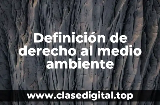 Definición de derecho al medio ambiente
