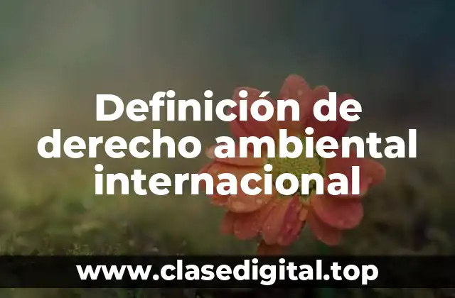 Definición de derecho ambiental internacional