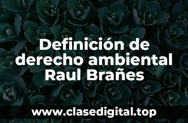 Definición técnica de derecho ambiental