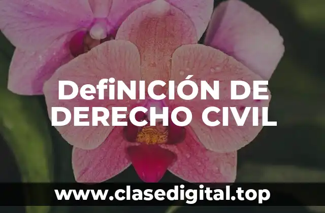 DefiNICIÓN DE DERECHO CIVIL