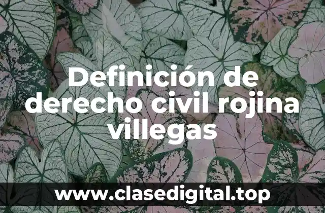 Definición de derecho civil rojina villegas