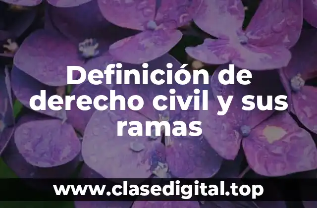 Definición de derecho civil y sus ramas
