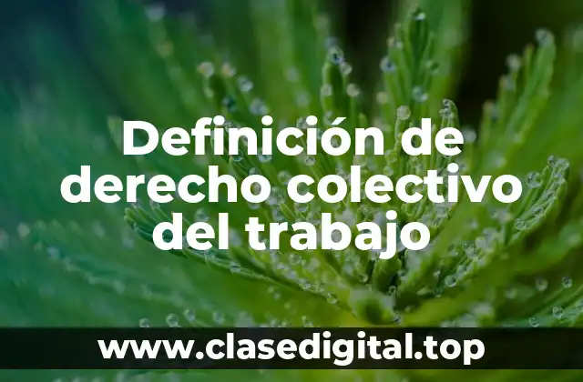 Definición de derecho colectivo del trabajo