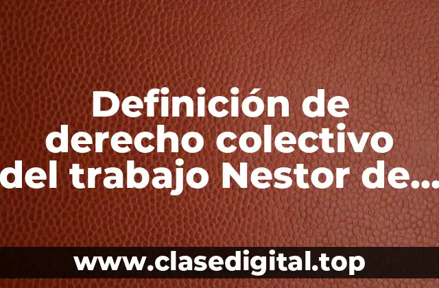 Definición de derecho colectivo del trabajo Nestor de Buen