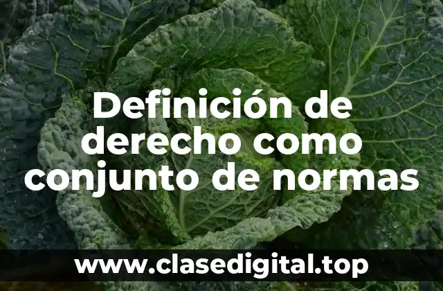 Definición de derecho como conjunto de normas